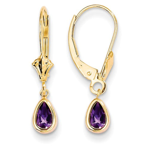 14K Yellow Gold Amethyst Leverback Earrings